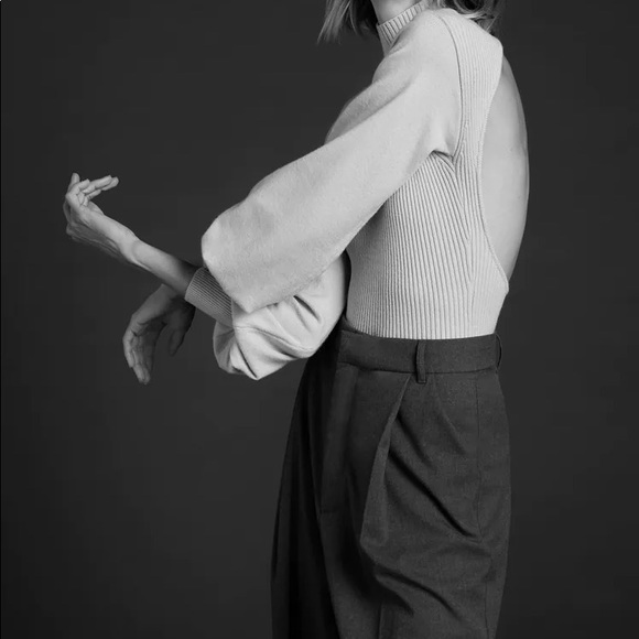 Gorgeous Zara knit bodysuit with balloon sleeves. - Picture 5 of 9